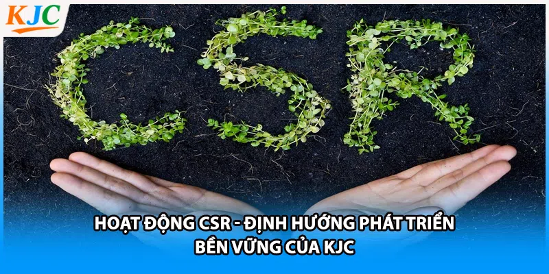 Hoạt Động CSR - Định Hướng Phát Triển Bền Vững Của KJC